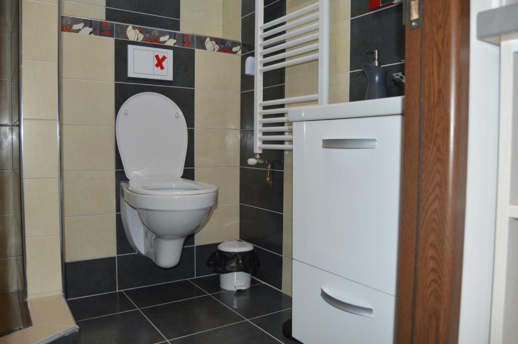 Апартаменты Apartament Ultracentral Сибиу Экстерьер фото