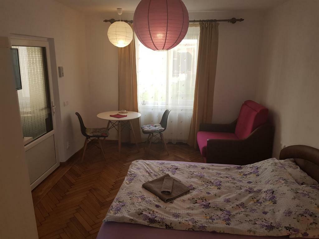 Апартаменты Apartament Ultracentral Сибиу Экстерьер фото